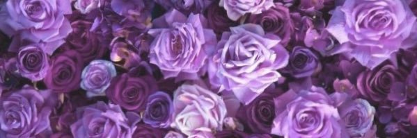 FlawlessOnika's profile banner image