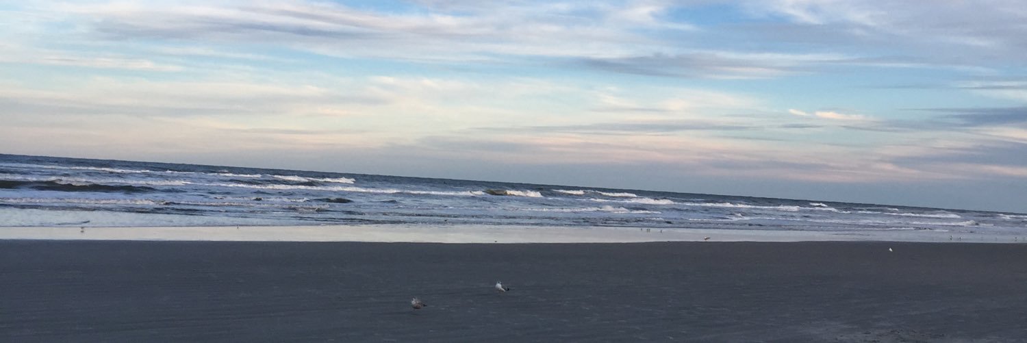 allyley18's profile banner image