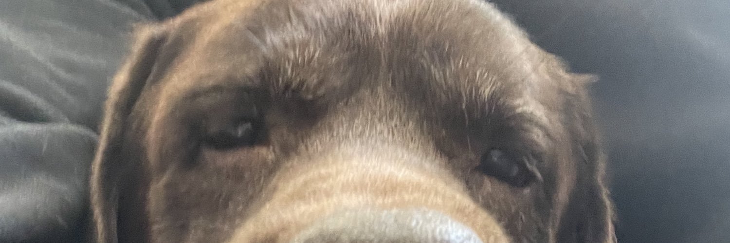 NillMedini's profile banner image
