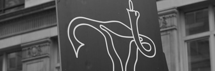 paujimenezR's profile banner image