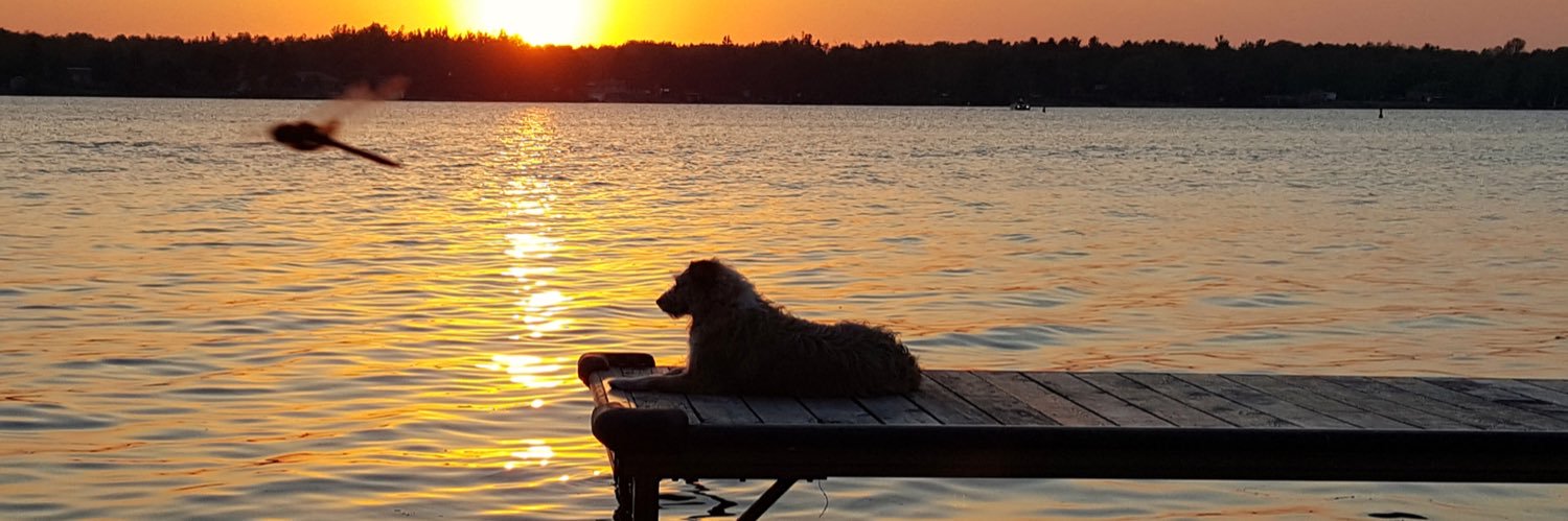 smoofe33's profile banner image