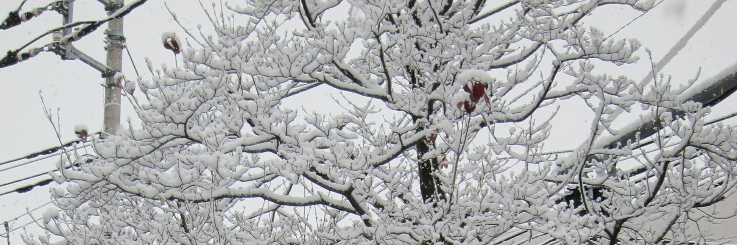 JŪÑJÛŃ banner