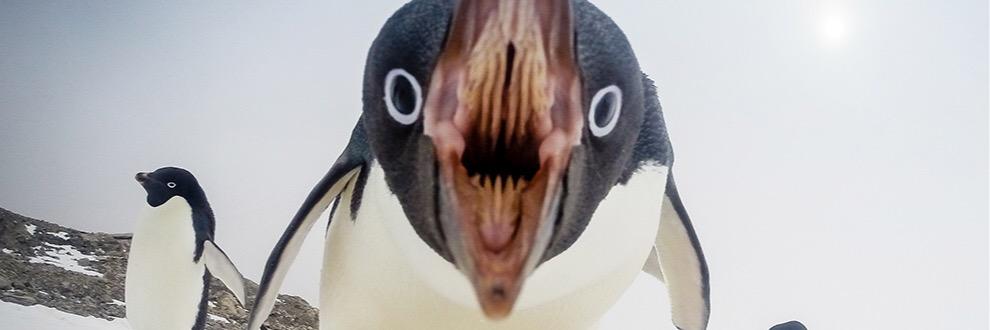 Ian Colle - @ircolle@mast.hpc.social banner