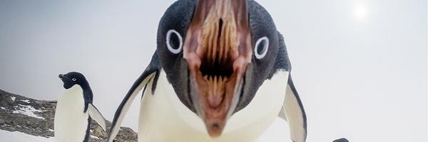 ircolle Profile Banner