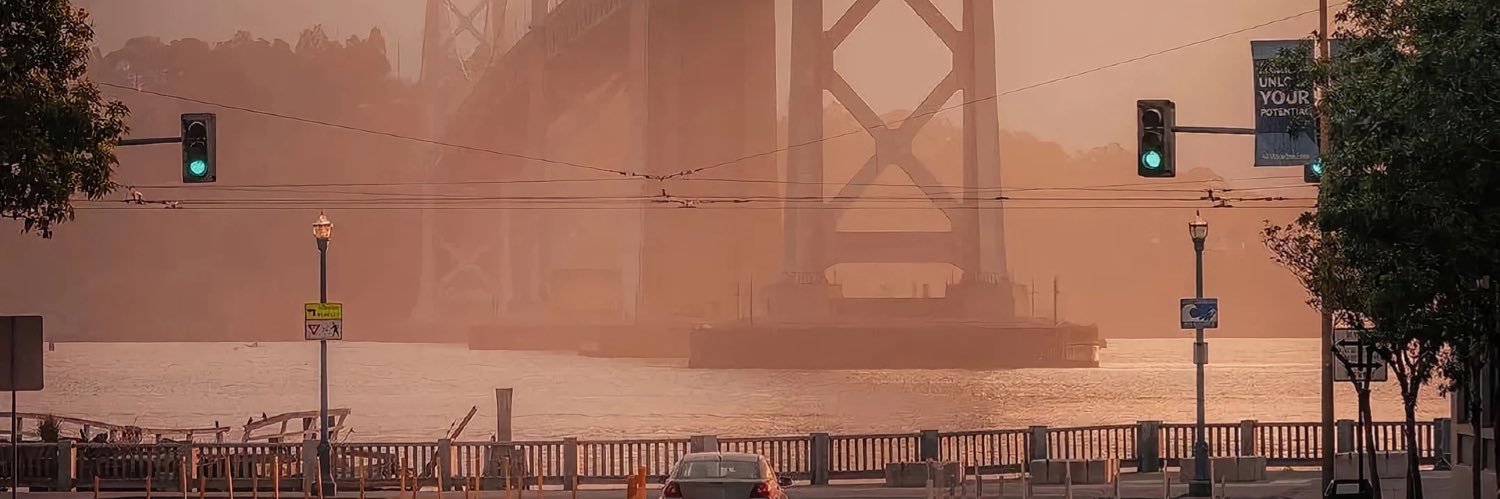 洛淼 banner