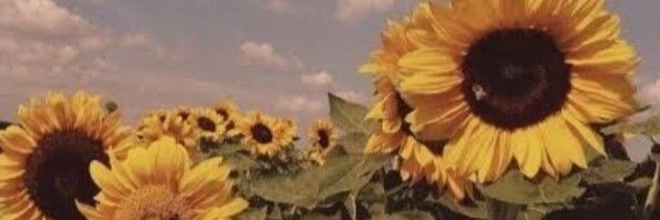 meisje ⋆｡˚𓇼 ⋆｡˚ banner