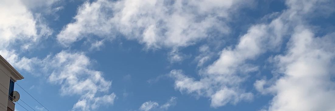 B Ü Ş banner