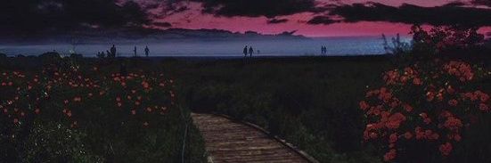 Pikun987's profile banner image