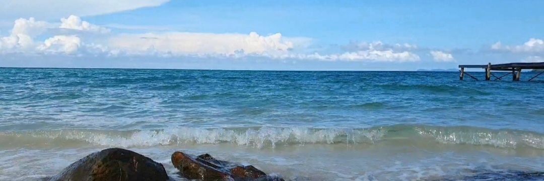 วันว่างอยากกินมะม่วง banner