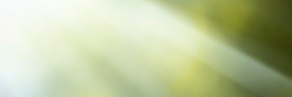 EconomicsKraka Profile Banner