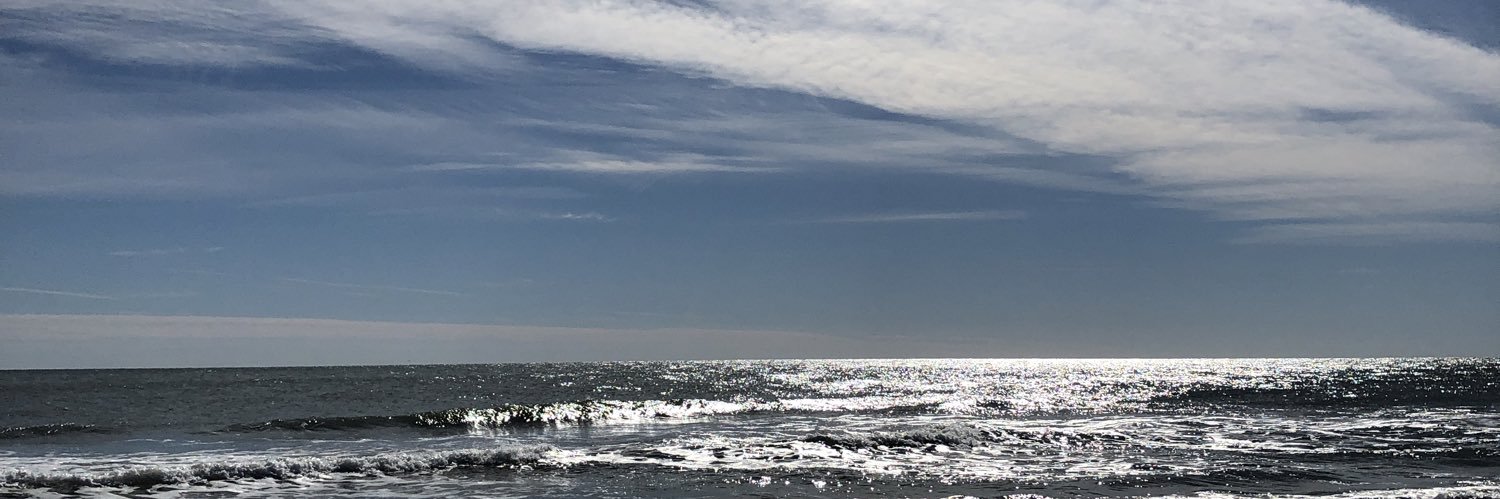 fredaluers's profile banner image