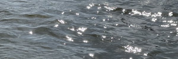 PS87004171 Profile Banner