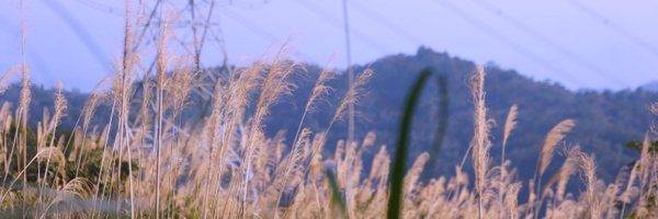 ecromusic Profile Banner
