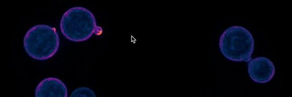 AlspaughLab Profile Banner