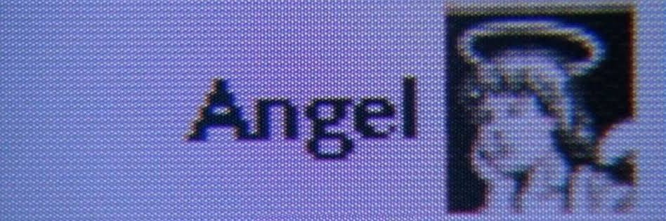 Gostosa incoerente banner