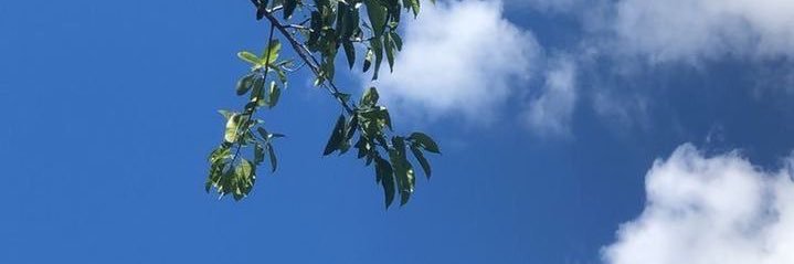 nonah__4's profile banner image