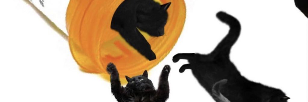 🫧🫐adorabowl🫰🏻🫧🍀 banner