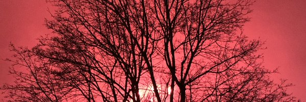 DagliWill Profile Banner