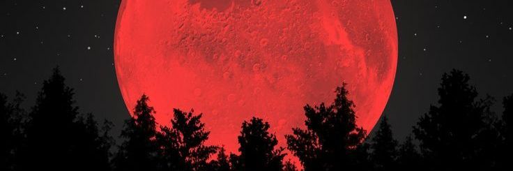 Hye.🍀 banner