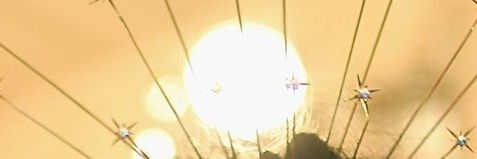 s banner