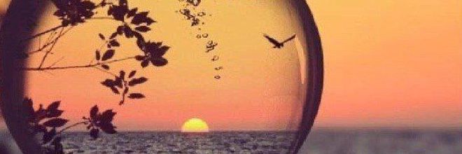 nsm_ss's profile banner image
