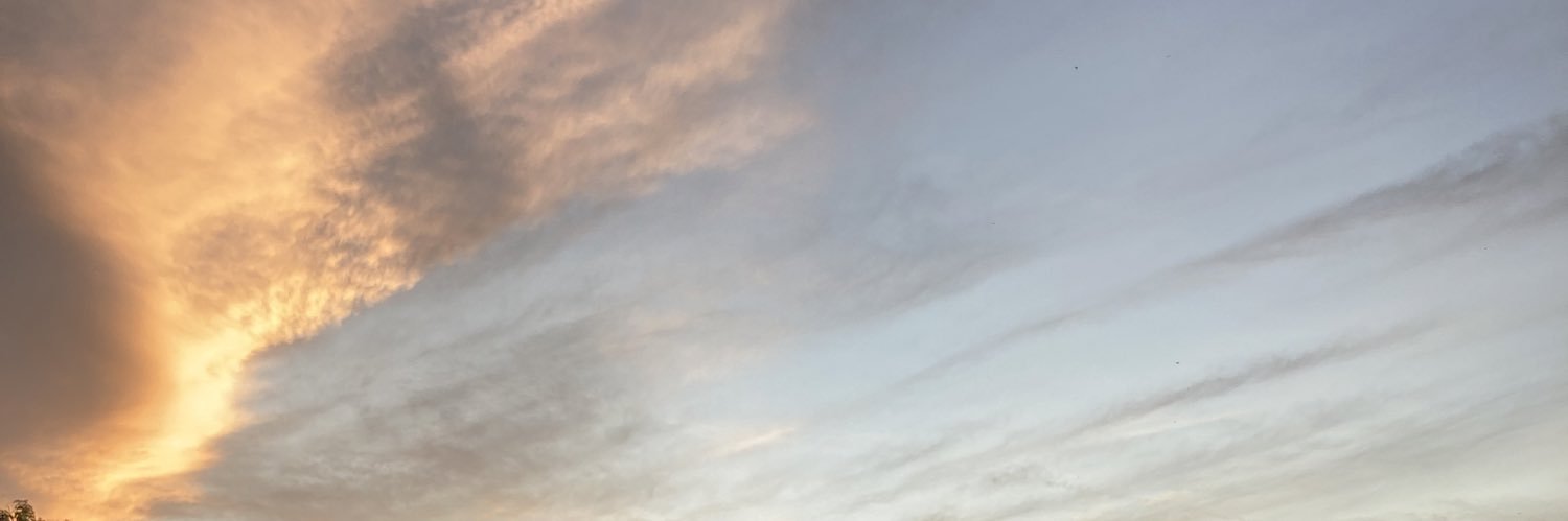 nelly_ltn's profile banner image