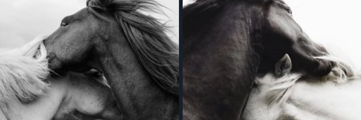 laktlu's profile banner image