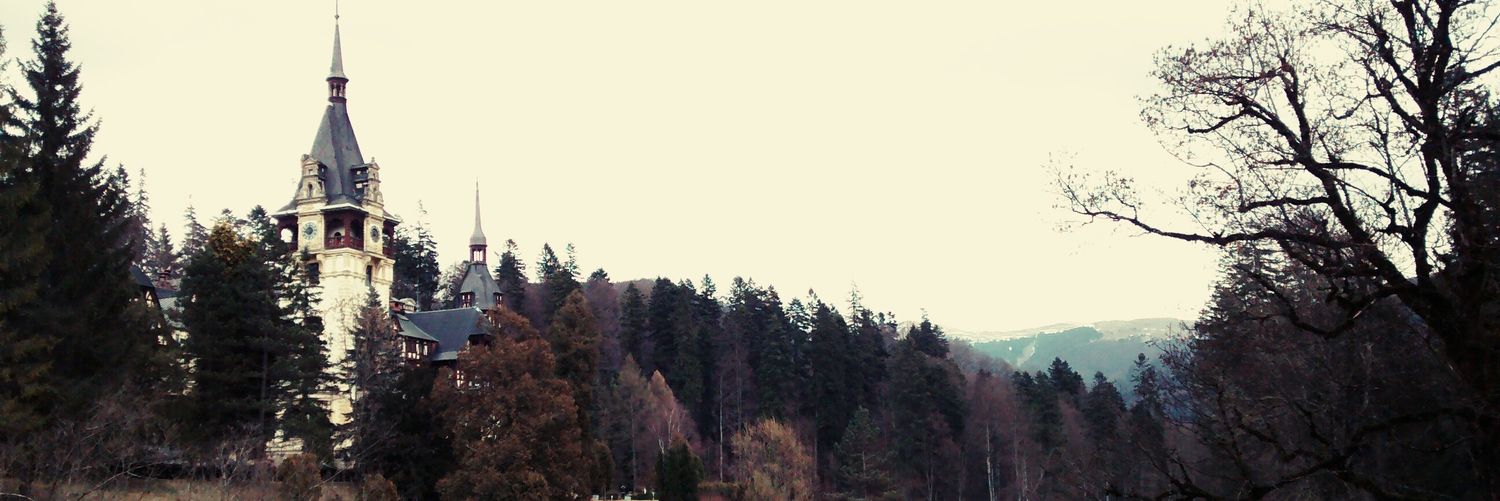 eme_eme6's profile banner image