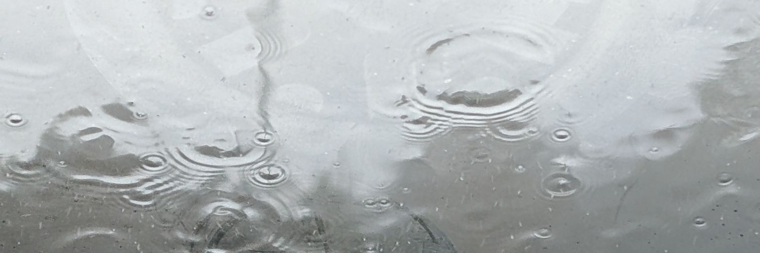 DialToneTP's profile banner image