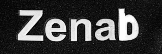 ZenabBarry banner