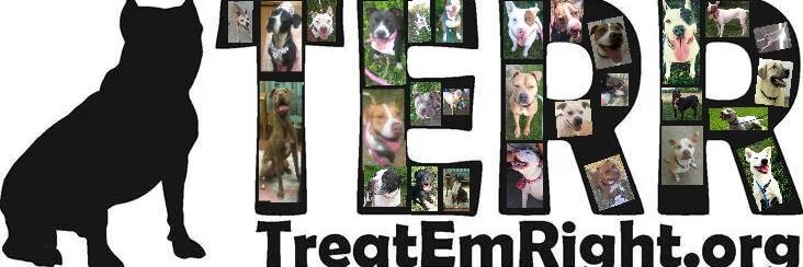 TeamTERR's profile banner image