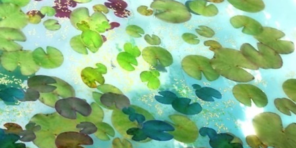 Occoquan1's profile banner image