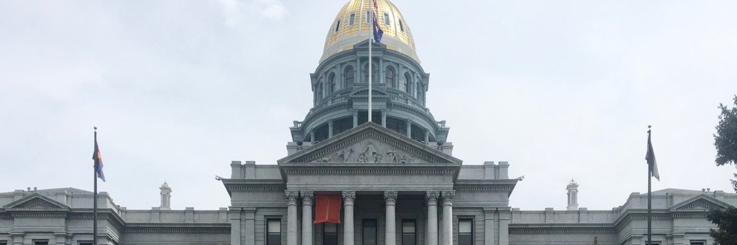 Rep. Mary Young banner