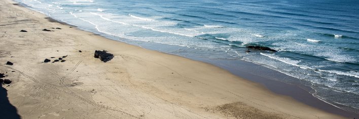 Carmen Marín banner