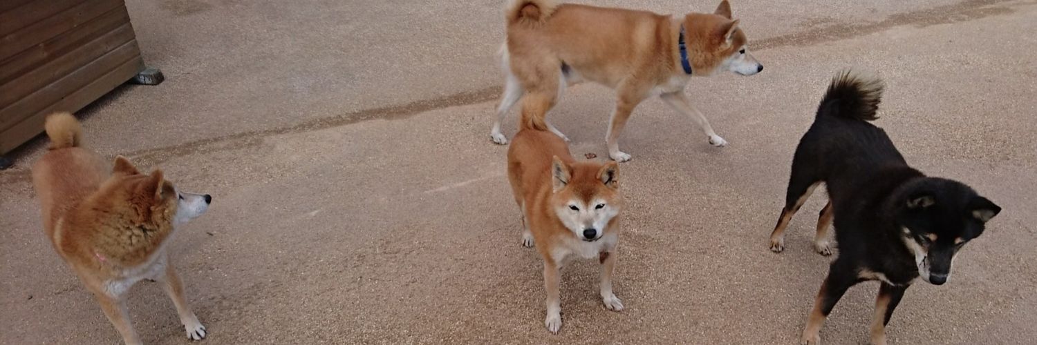 yuinari's profile banner image