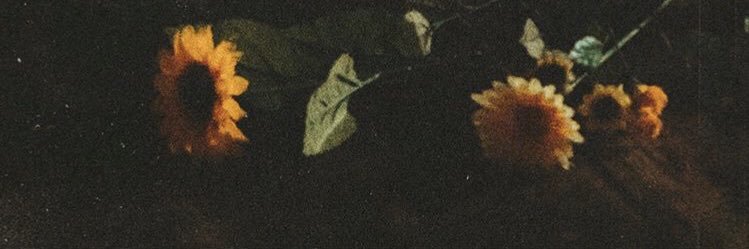 1R_Ana's profile banner image