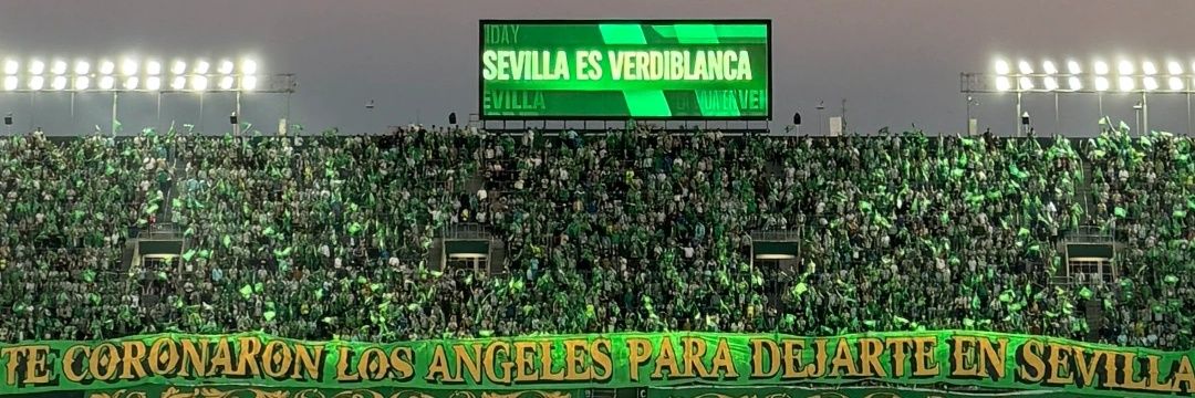 Nicolás banner