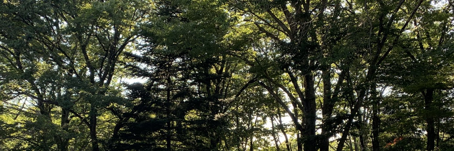 otomo3322's profile banner image