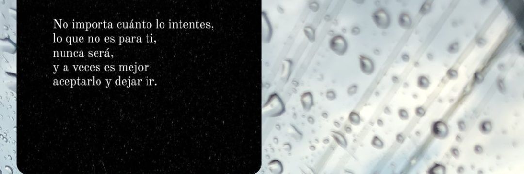 GDVZ98's profile banner image
