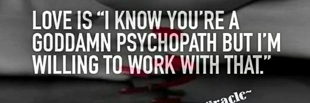 Raven Silverwolf banner