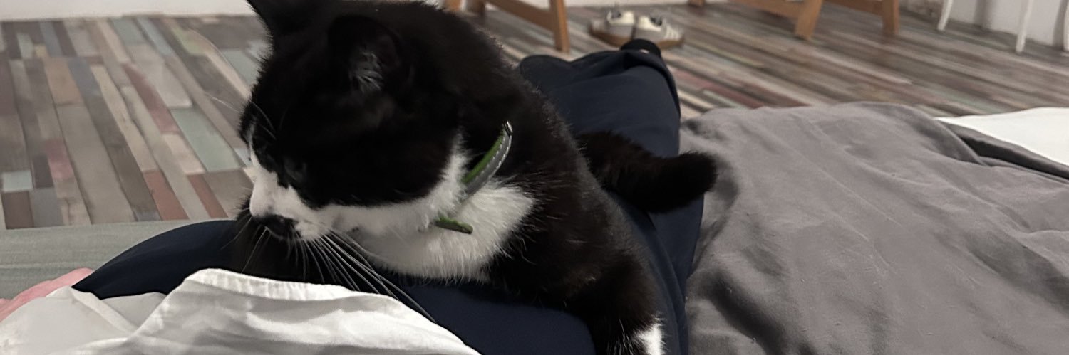 värld🇵🇸 banner