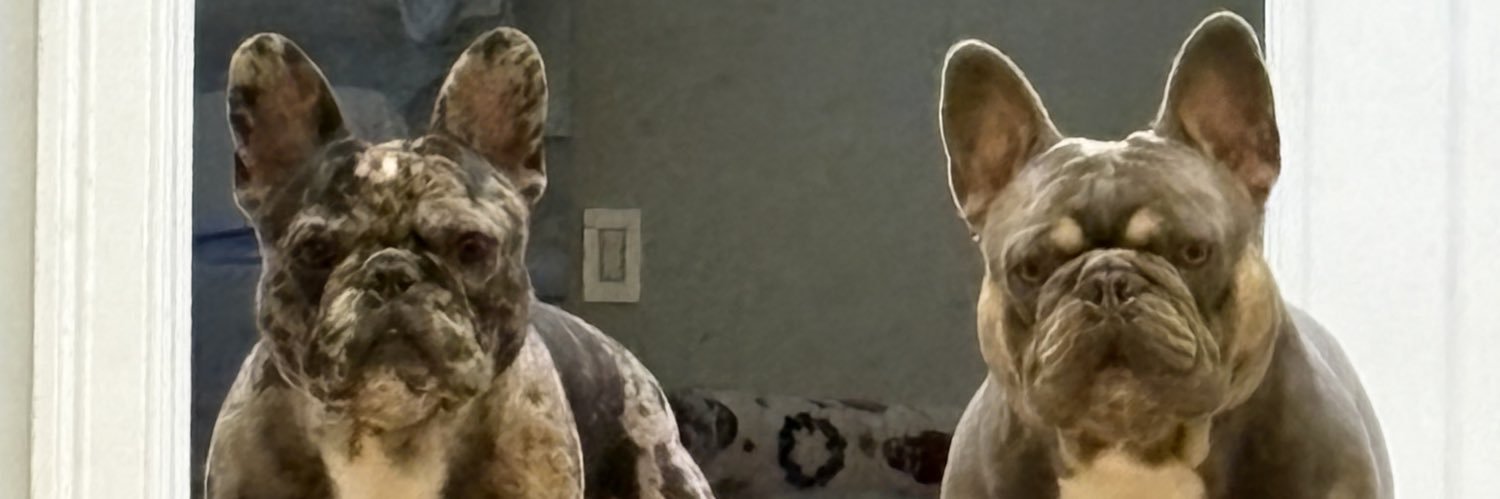 juliamicarelli's profile banner image