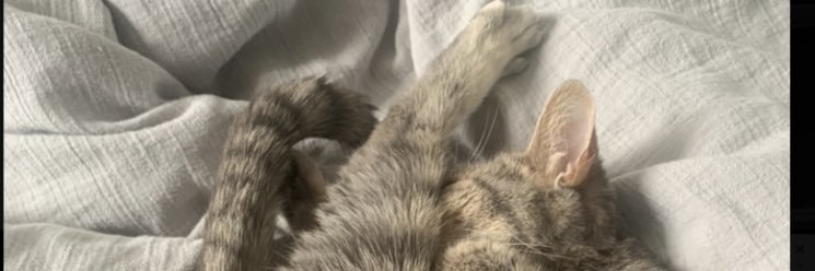 llri_m's profile banner image
