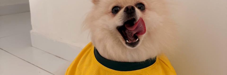 _laysbruna's profile banner image