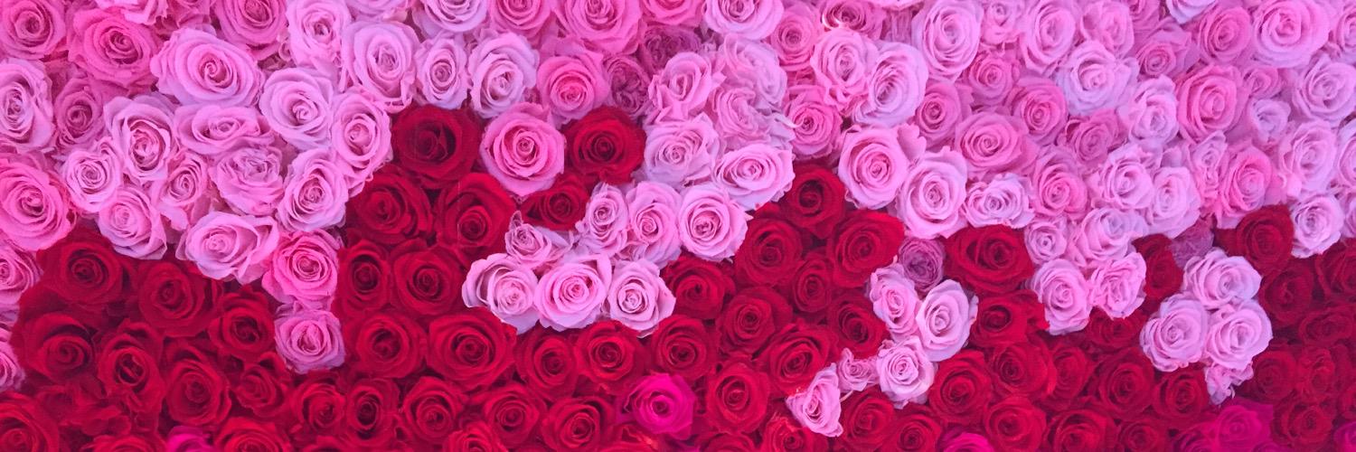 NYCella's profile banner image
