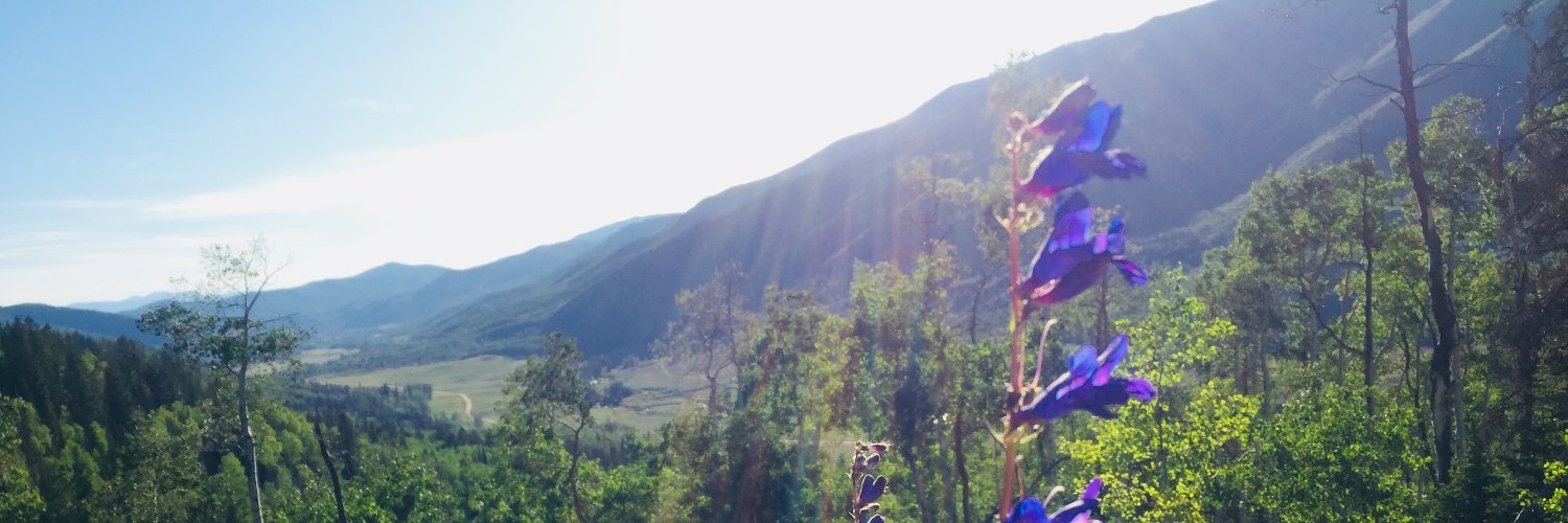 acjacobs89's profile banner image