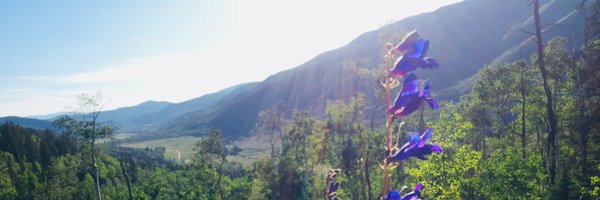 acjacobs89 Profile Banner