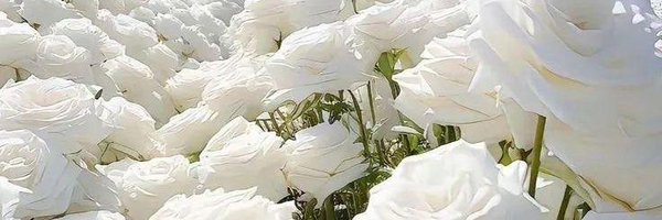 createdforyov Profile Banner