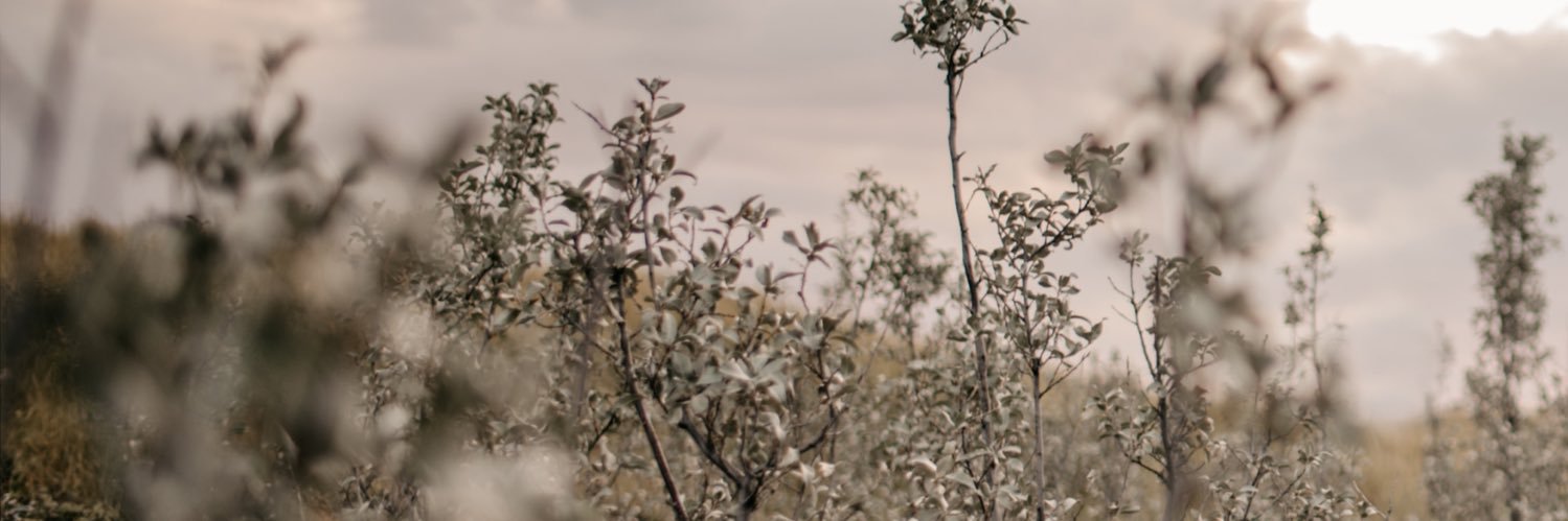 mattwayn's profile banner image