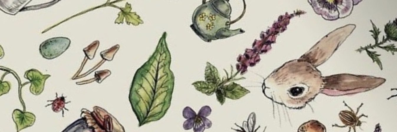 no banner